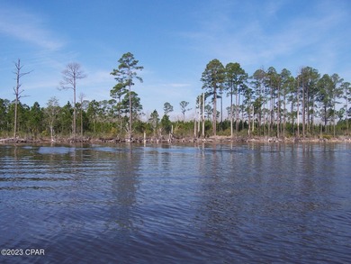 Zoning is 2 units per acre. This serene piece of pristine - photo 2