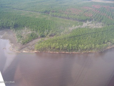 Zoning is 2 units per acre. This serene piece of pristine - photo 4