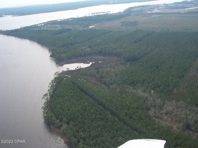 Zoning is 2 units per acre. This serene piece of pristine - photo 7