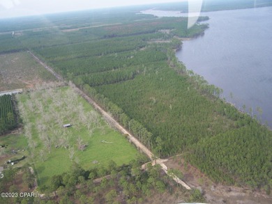 Zoning is 2 units per acre. This serene piece of pristine - photo 8