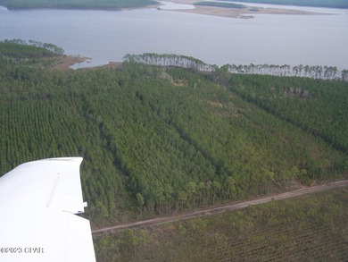 Zoning is 2 units per acre. This serene piece of pristine - photo 9