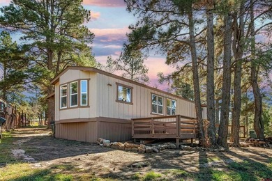 Lake Forest Home For Sale in Pagosa Springs Colorado