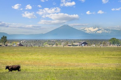 Luxury ranch with turnkey cattle/horse operations located in - photo 14