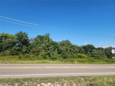 Dillon Lake Commercial For Sale in Nashport Ohio