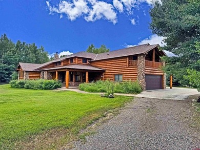 Lake Home For Sale in South Fork, Colorado