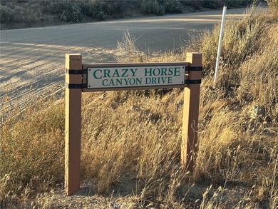 Lake Canyon Dr - photo 3