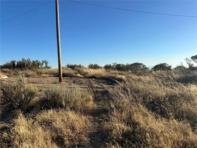 Lake Canyon Dr - photo 5