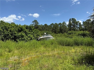This property has a structure on its land in unknown condition - photo 6