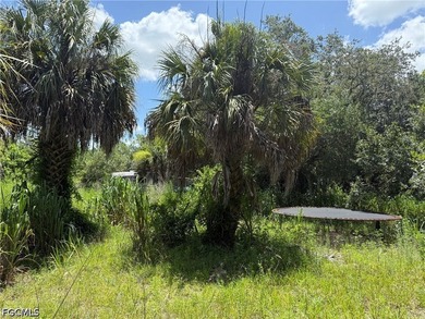 This property has a structure on its land in unknown condition - photo 8
