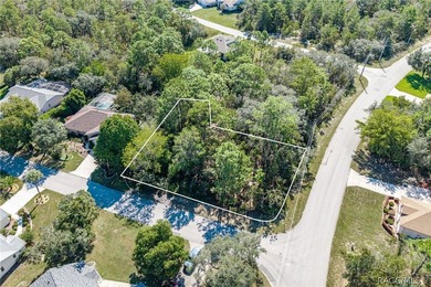Build your dream home on this oversized, corner lot in Sugarmill - photo 11