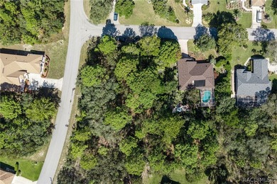 Build your dream home on this oversized, corner lot in Sugarmill - photo 12