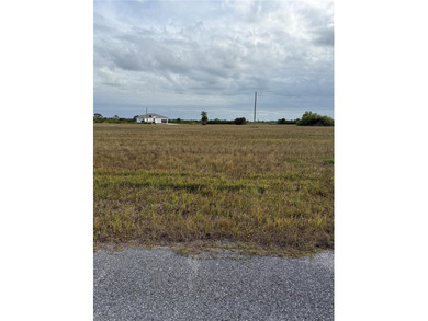 Rotunda Meadows Lakes  Lot For Sale in Placida Florida