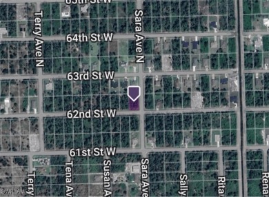 Lehigh Acres Area Lot For Sale in Lehigh Acres Florida