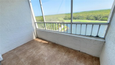 (private lake, pond, creek) Condo Sale Pending in Clearwater Florida