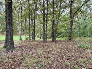 Bull Shoals Lake Lot For Sale in Flippin Arkansas