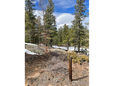 Red Feather Lake Lot For Sale in Red Feather Lakes Colorado