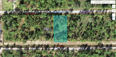 Lake Weohyakapka Lot For Sale in Indian Lake Estates Florida