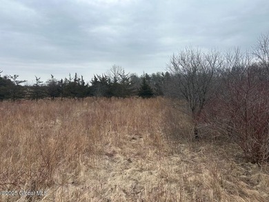 Sleepy Hollow Lake Lot For Sale in Athens New York