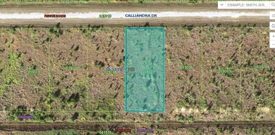 Lake Weohyakapka Lot For Sale in Lake Wales Florida