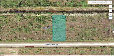 Lake Weohyakapka Lot For Sale in Indian Lake Estates Florida