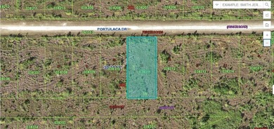 Lake Weohyakapka Lot For Sale in Indian Lake Estates Florida