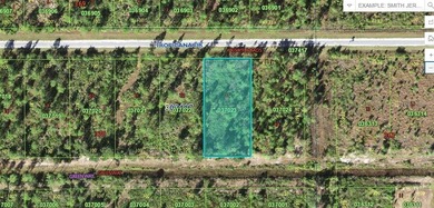 Lake Weohyakapka Lot For Sale in Indian Lake Estates Florida