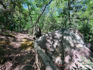 LAKE LURE'S BEST BUY! LAKEFRONT LOT.......3.64 acre lakefront - photo 11