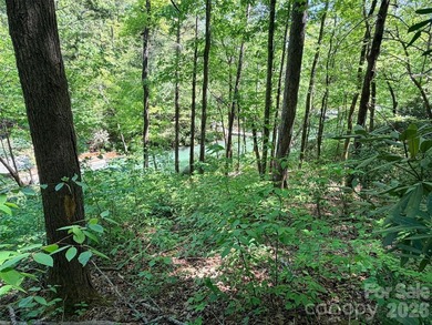 LAKE LURE'S BEST BUY! LAKEFRONT LOT.......3.64 acre lakefront - photo 13