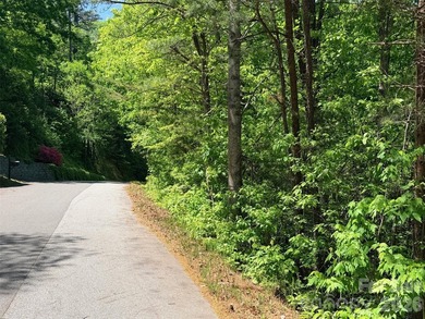 LAKE LURE'S BEST BUY! LAKEFRONT LOT.......3.64 acre lakefront - photo 14