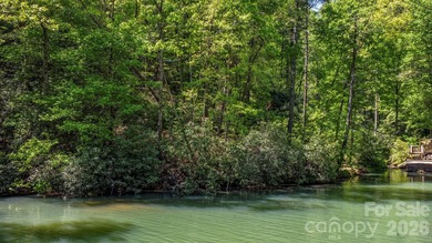 LAKE LURE'S BEST BUY! LAKEFRONT LOT.......3.64 acre lakefront - photo 15