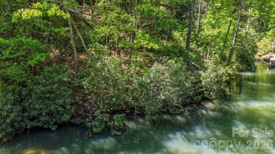 LAKE LURE'S BEST BUY! LAKEFRONT LOT.......3.64 acre lakefront - photo 17