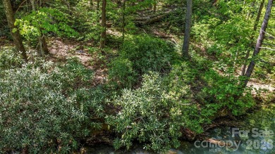 LAKE LURE'S BEST BUY! LAKEFRONT LOT.......3.64 acre lakefront - photo 18