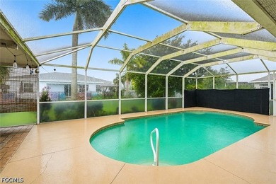 Welcome to 2541 NW 21st Ave, Cape Coral, FL 33993. No flood - photo 8