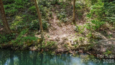 LAKE LURE'S BEST BUY! LAKEFRONT LOT.......3.64 acre lakefront - photo 20