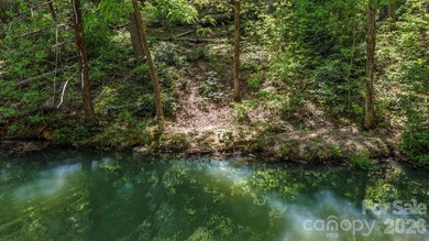 LAKE LURE'S BEST BUY! LAKEFRONT LOT.......3.64 acre lakefront - photo 21