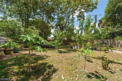 City convenience meets backyard homestead charm in this adorable - photo 22