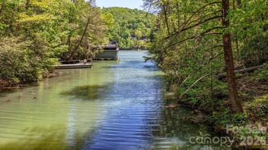 LAKE LURE'S BEST BUY! LAKEFRONT LOT.......3.64 acre lakefront - photo 24