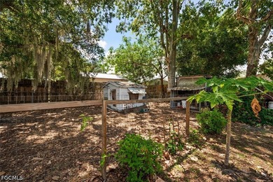 City convenience meets backyard homestead charm in this adorable - photo 25