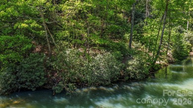 LAKE LURE'S BEST BUY! LAKEFRONT LOT.......3.64 acre lakefront - photo 26