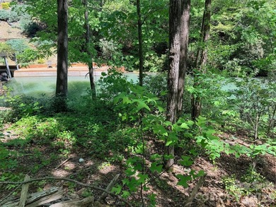 LAKE LURE'S BEST BUY! LAKEFRONT LOT.......3.64 acre lakefront - photo 27