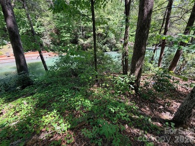LAKE LURE'S BEST BUY! LAKEFRONT LOT.......3.64 acre lakefront - photo 28