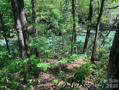 LAKE LURE'S BEST BUY! LAKEFRONT LOT.......3.64 acre lakefront - photo 29