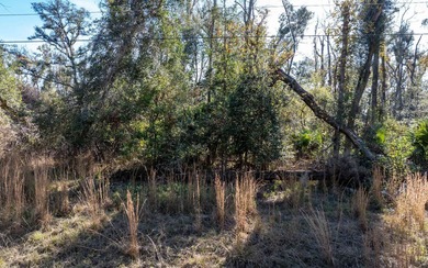 Suwannee River Lot For Sale in Live Oak Florida