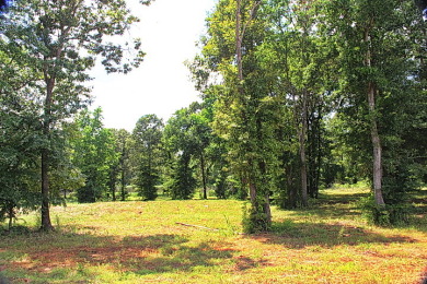 Stone Chimney Cove- A protected cove from big water damage. - Lake Lot For Sale in Bullard, Texas