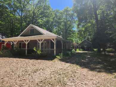 Wolf Lake - Lake County Home For Sale in Baldwin Michigan