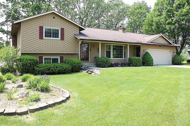 Lake Home For Sale in Sparta, Michigan