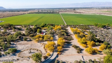 This unique 246.52-acre estate features a main home with primary - photo 6