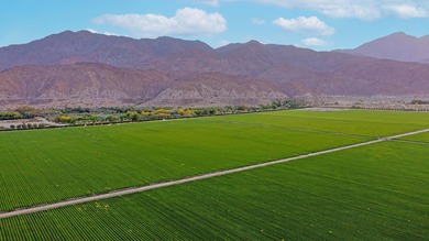 This unique 246.52-acre estate features a main home with primary - photo 8