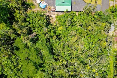 Beautiful 15,077 sq ft raw land lot located in the heart of the - photo 4