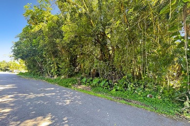 Beautiful 15,077 sq ft raw land lot located in the heart of the - photo 8